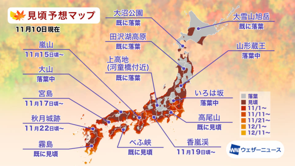 日本賞楓時間 日本賞楓時間2022 日本楓葉時間 